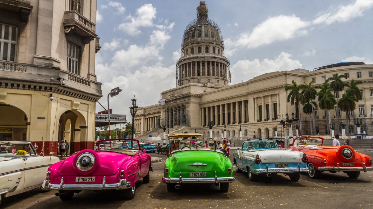 The Havana primaries