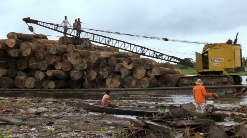 US trade officials ask Peru to verify logging shipment