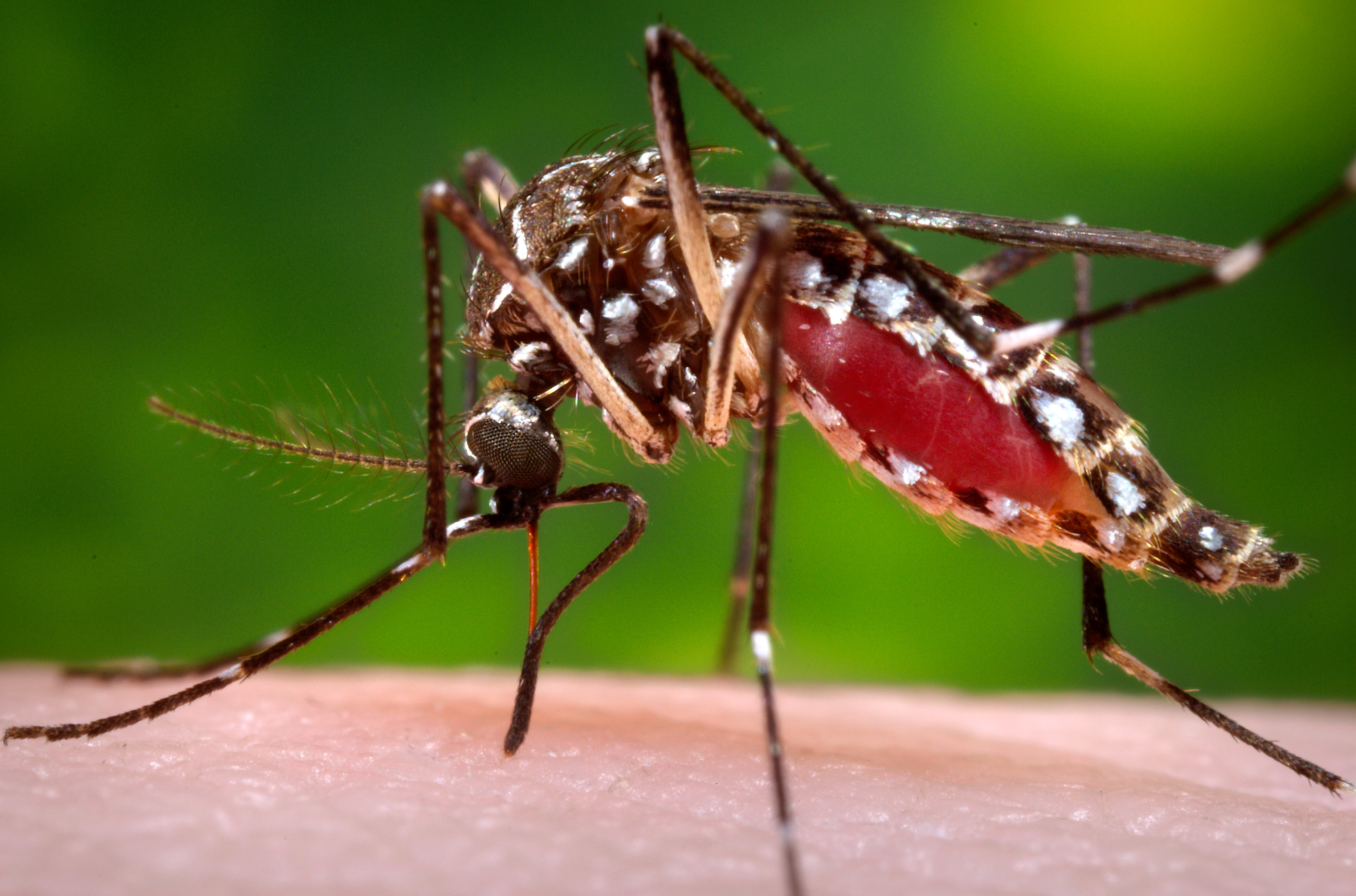 Meet the U.S. military super scientists fighting to destroy the Zika virus