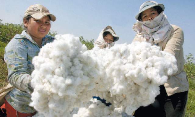 El algodón peruano es el producto más perjudicado con el TLC